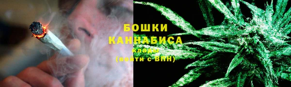 твердый Шали