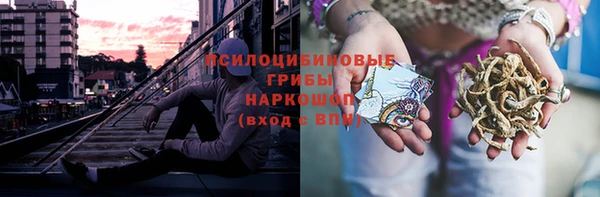 твердый Шали
