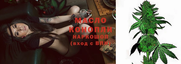 метадон Гусев