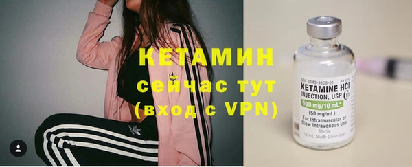 ПСИЛОЦИБИНОВЫЕ ГРИБЫ Горно-Алтайск