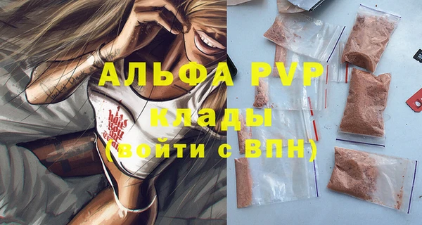 твердый Шали