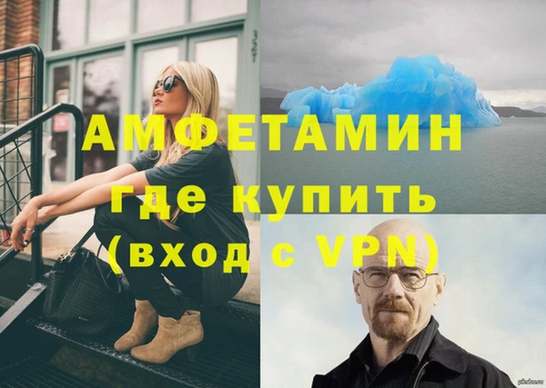 ПСИЛОЦИБИНОВЫЕ ГРИБЫ Горно-Алтайск
