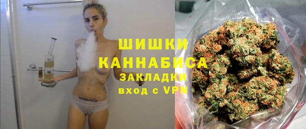 соль ск Новодвинск